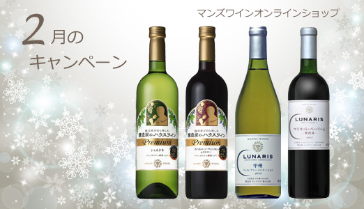 今月のキャンペ―ン